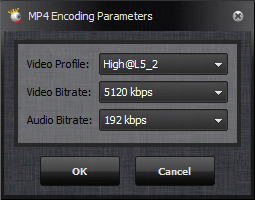 mp4 encoding parameters